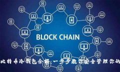 如何查询比特币冷钱包余额:一步步教你安全管