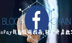 简单易懂的GoPay钱包注册指南,轻松开启数字支付