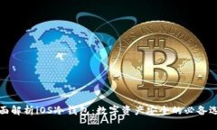 全面解析iOS冷钱包:数字资产安全的必备选择
