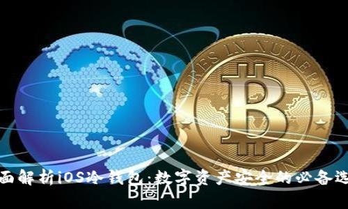 全面解析iOS冷钱包:数字资产安全的必备选择