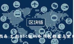 最全指南:支持BSC链的冷钱包推荐与使用攻略