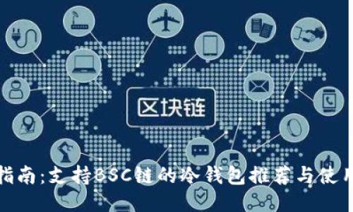 最全指南:支持BSC链的冷钱包推荐与使用攻略