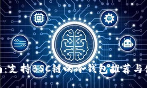 最全指南:支持BSC链的冷钱包推荐与使用攻略