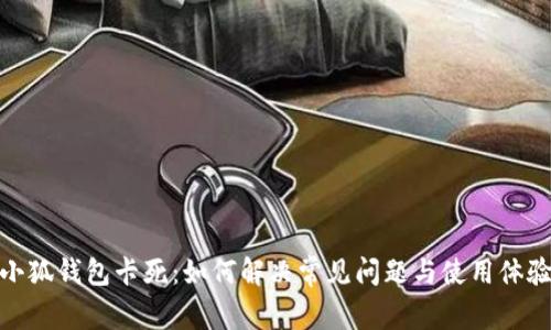 小狐钱包卡死：如何解决常见问题与使用体验