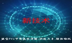 波宝Pro下载流程详解：快速上手，轻松畅玩