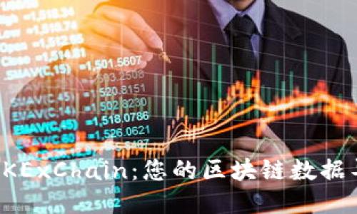 探索OKExChain：您的区块链数据导航器