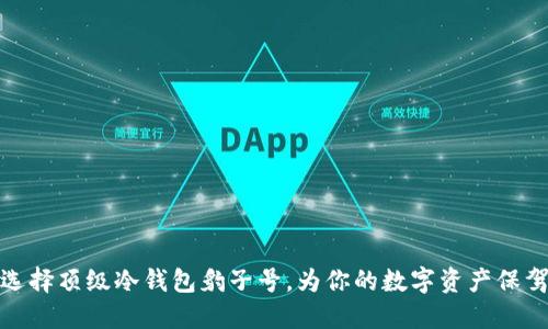如何选择顶级冷钱包豹子号,为你的数字资产保驾护航