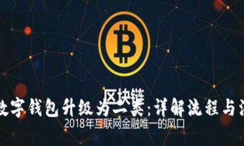 如何将数字钱包升级为二类:详解流程与注意事项