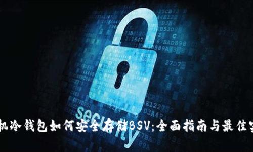 手机冷钱包如何安全存储BSV:全面指南与最佳实践