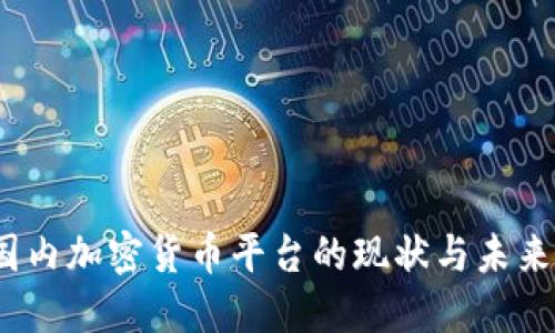 2023年国内加密货币平台的现状与未来发展趋势