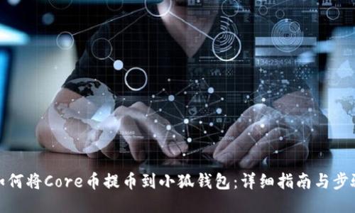如何将Core币提币到小狐钱包:详细指南与步骤