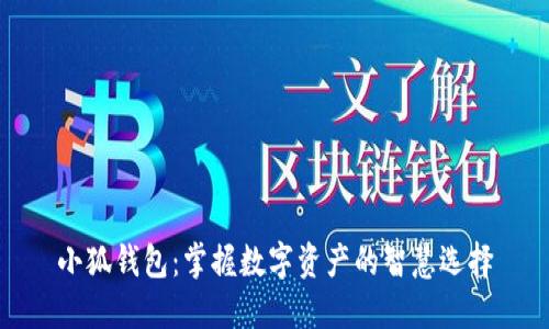小狐钱包:掌握数字资产的智慧选择