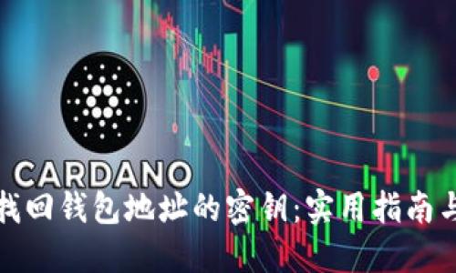 如何找回钱包地址的密钥:实用指南与技巧