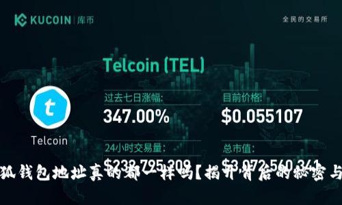 : 小狐钱包地址真的都一样吗?揭开背后的秘密与真相