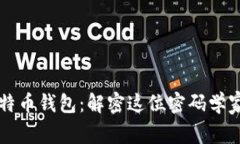 中本聪的比特币钱包：解密这位密码学家的数字