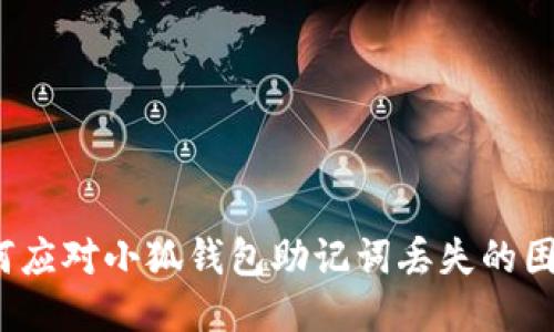 如何应对小狐钱包助记词丢失的困扰?