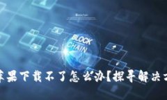 小狐钱包苹果下载不了怎么办?探寻解决方案与