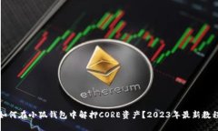 如何在小狐钱包中解押CORE资产?2023年最新教程