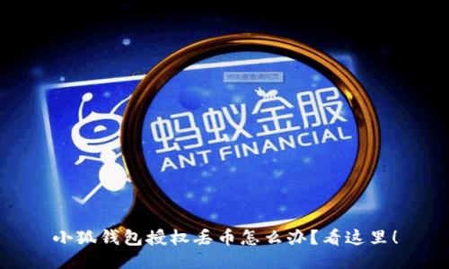 小狐钱包授权丢币怎么办？看这里！