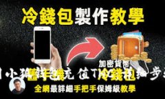 如何使用小狐钱包充值THC:详细步骤与技巧