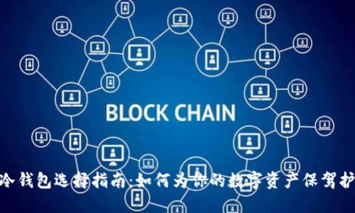 : 冷钱包选择指南：如何为你的数字资产保驾护航