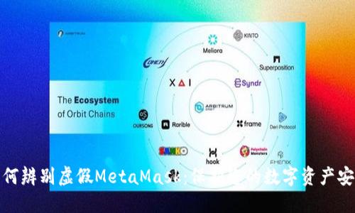 如何辨别虚假MetaMask:保护您的数字资产安全