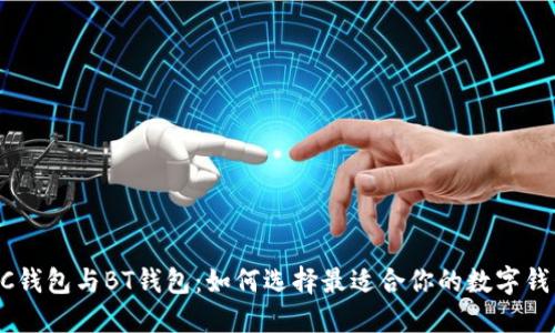 BSC钱包与BT钱包:如何选择最适合你的数字钱包?