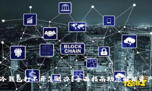 冷钱包打不开怎么办?全面指南助您解锁资产