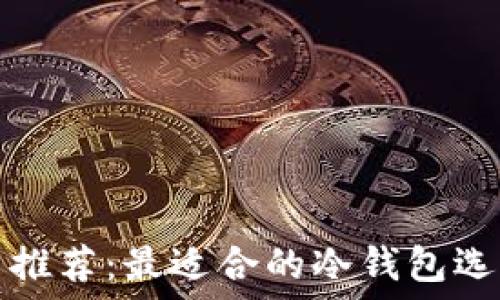   
苹果手机用户推荐：最适合的冷钱包选择与使用指南