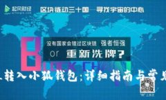 如何将FIL转入小狐钱包:详细指南与常见问题解