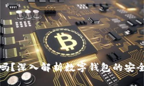 数字钱包安全吗？深入解析数字钱包的安全性与风险防范