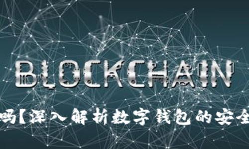 数字钱包安全吗？深入解析数字钱包的安全性与风险防范
