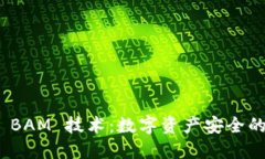 冷钱包 BAM 技术：数字资产安全的新护航