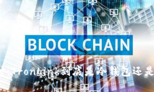 深入探讨:TronLink到底是冷钱包还是热钱包?