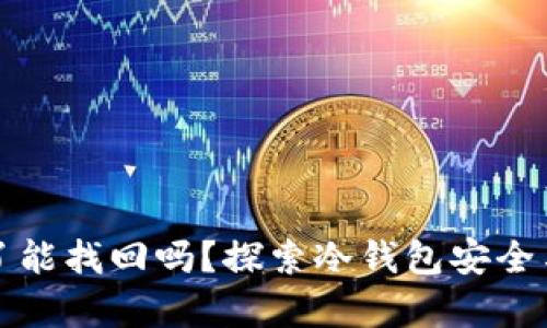 冷钱包的资产丢了能找回吗?探索冷钱包安全与资产恢复的秘密