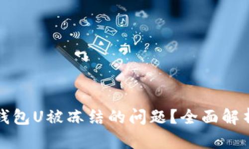 如何处理冷钱包U被冻结的问题？全面解析与解决方案