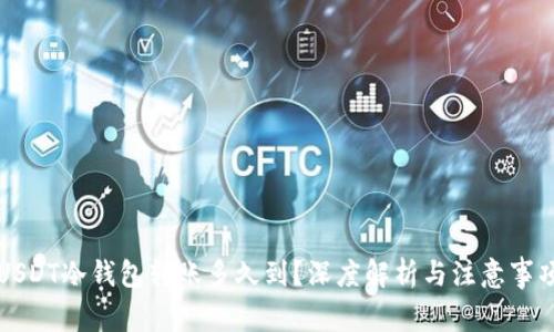 USDT冷钱包转账多久到?深度解析与注意事项