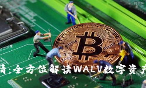 探索币币行情：全方位解读WALV数字资产与市场趋势