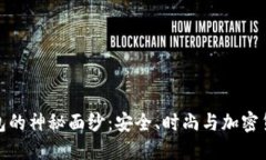 揭开体面冷钱包的神秘面纱：安全、时尚与加密