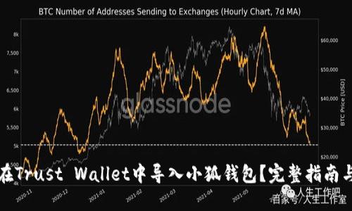 如何在Trust Wallet中导入小狐钱包?完整指南与技巧