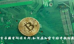 深入探索币圈首码项目群：如何在加密市场中找