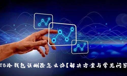 TB冷钱包误删除怎么办？解决方案与常见问答