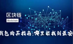 广埠屯冷钱包购买指南：哪里能找到最安全的选