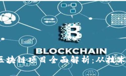 2023年中国合法区块链项目全面解析：从技术到应用的深度剖析