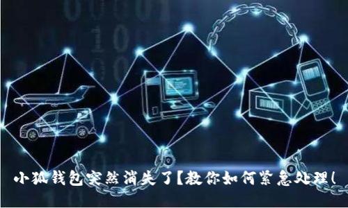 小狐钱包突然消失了?教你如何紧急处理!