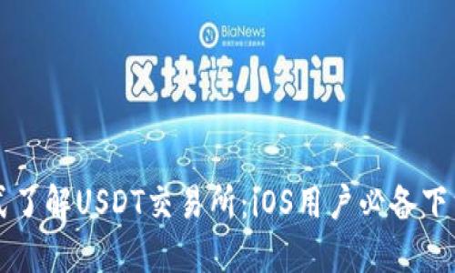 一站式了解USDT交易所：iOS用户必备下载指南