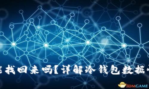 冷钱包坏了还能找回来吗？详解冷钱包数据恢复与安全策略