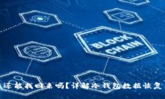 冷钱包坏了还能找回来吗？详解冷钱包数据恢复
