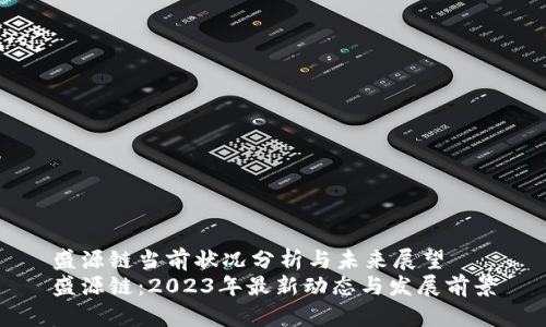 盛源链当前状况分析与未来展望
盛源链:2023年最新动态与发展前景