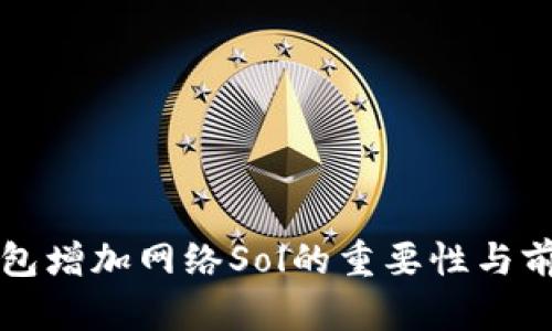 小狐钱包增加网络Sol的重要性与前景分析